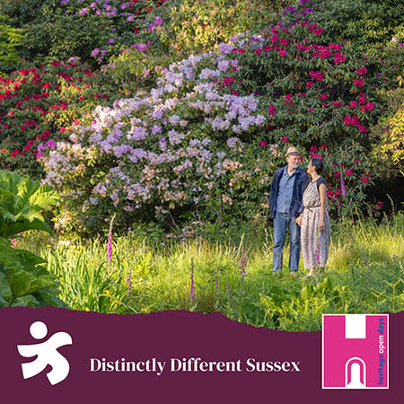 Photo of Leonardslee Gardens overlayed with a layers graphic